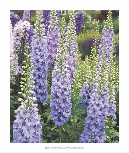 RHS How to Garden - фото 6