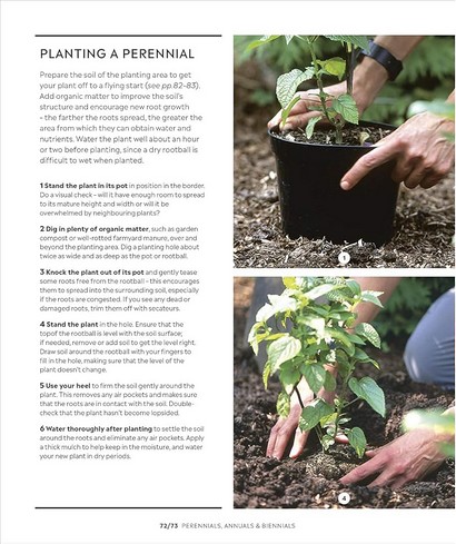 RHS How to Garden - фото 8