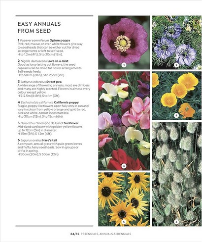 RHS How to Garden - фото 10