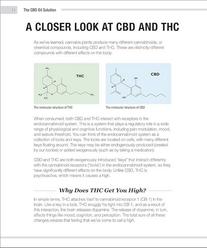 The CBD Oil Solution - фото 2
