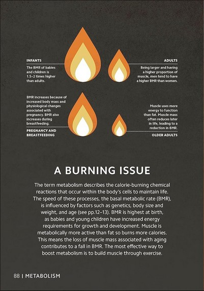 Simply Nutrition - фото 10