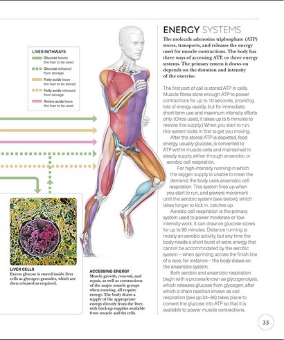 The Science of Running - фото 3