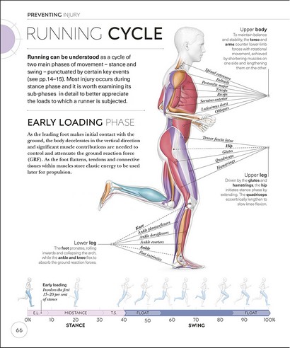 The Science of Running - фото 6