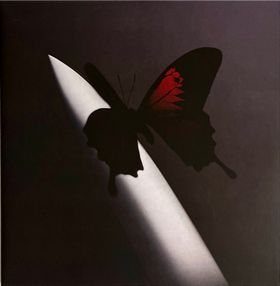 Post Malone – Twelve Carat Toothache (2LP, Album, Red Marbled, Gatefold, Vinyl)