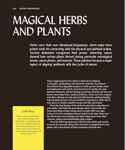 The Book of Witchcraft - фото 8