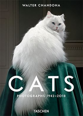 Walter Chandoha. Cats. Photographs 1942-2018