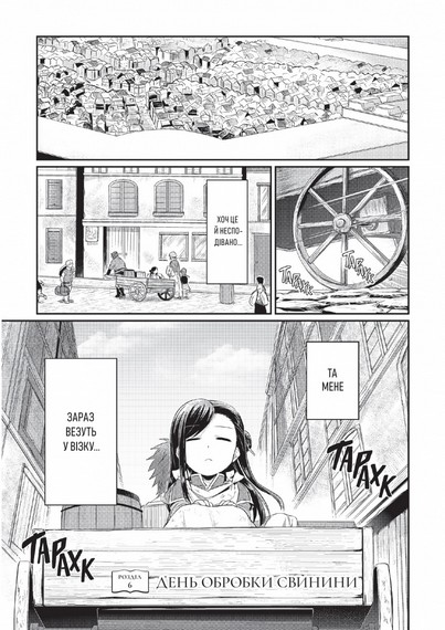 Сходження буквоїжки. Я зроблю все щоби стати бібліотекаркою. Частина 1. Том. 2 - фото 12