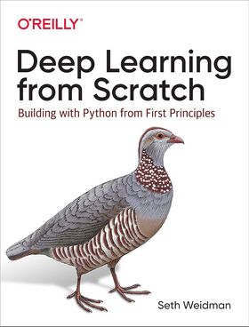 Deep Learning from Scratch: Building with Python from First Principles 1st Edition