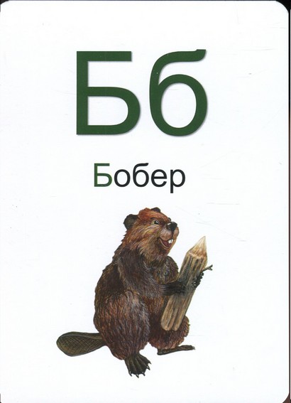 4D Навчальні картки 