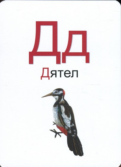 4D Навчальні картки 