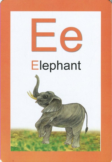 4D Навчальні картки 