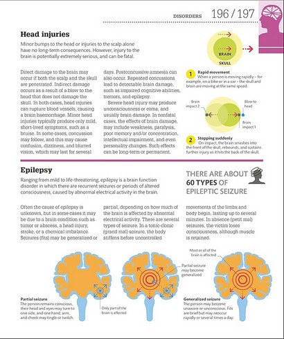 How the Brain Works. The Facts Visually Explained - фото 13