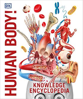 Knowledge Encyclopedia. Human Body!