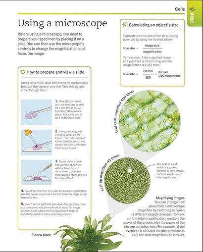 Super Simple Biology - фото 7