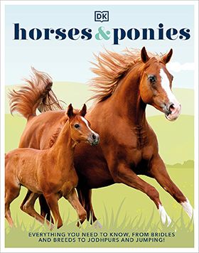 Horses and Ponies